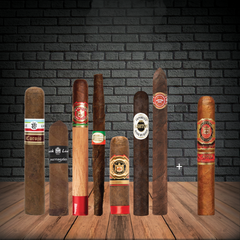 Ligador 195 - 7 Stick Selection