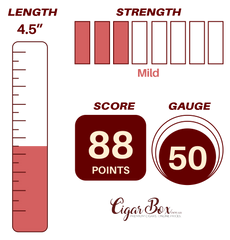 Rocky Patel Vintage 1999 Petite Belicoso - 4.5 x 50rg