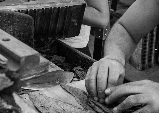 should I choose a Nicaraguan or Dominican cigar?